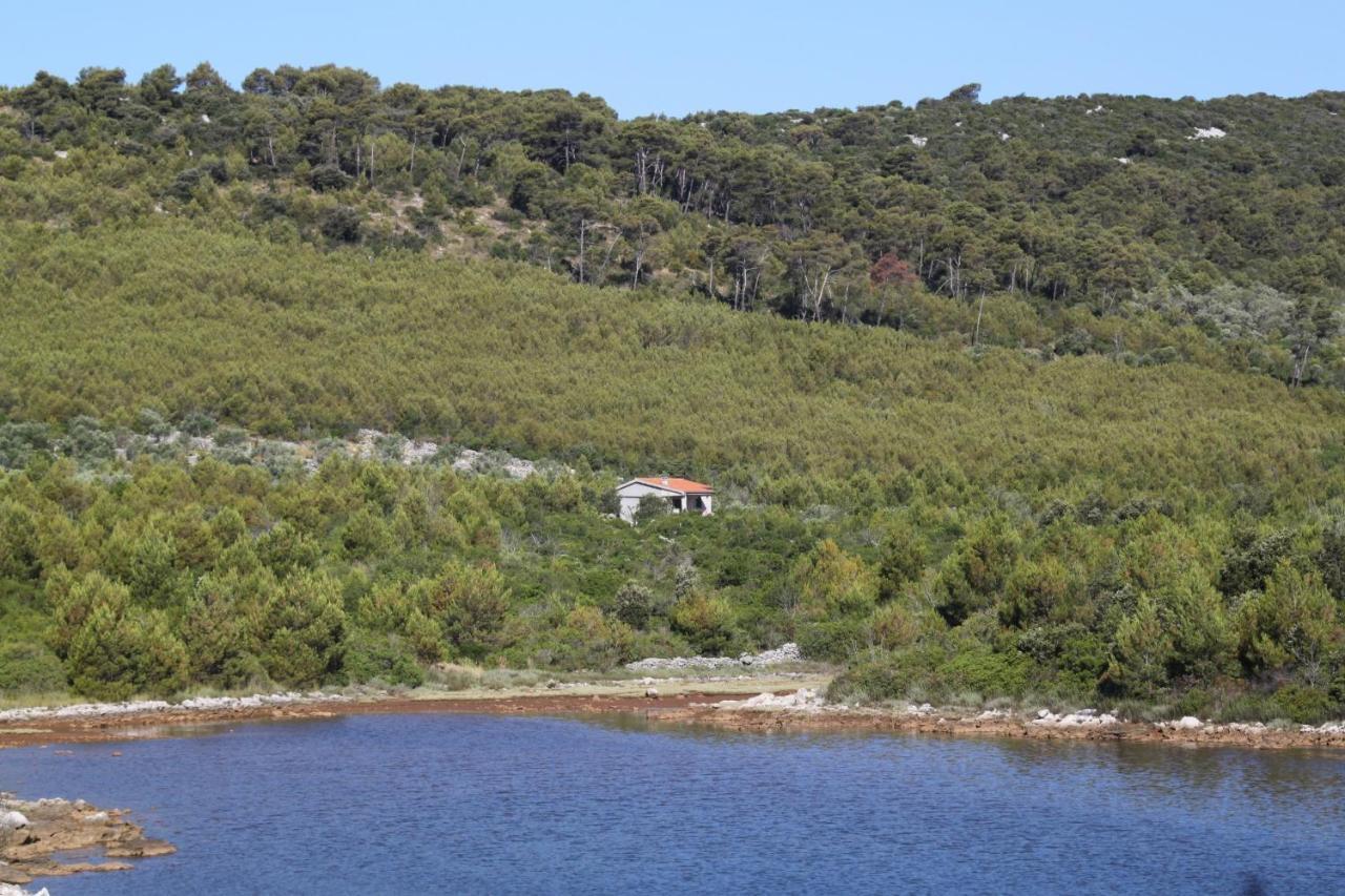 Secluded Holiday House Cove Jaz - Telascica, Dugi Otok - 8176 Sali Exteriér fotografie